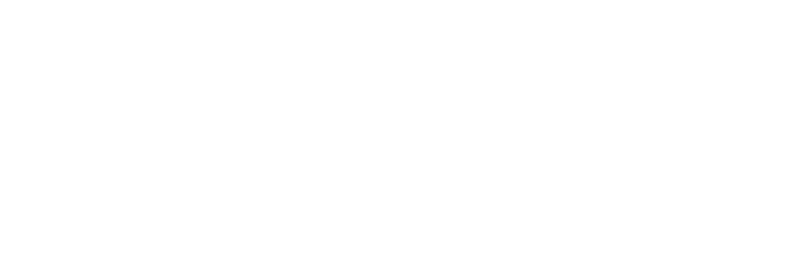 Bizople